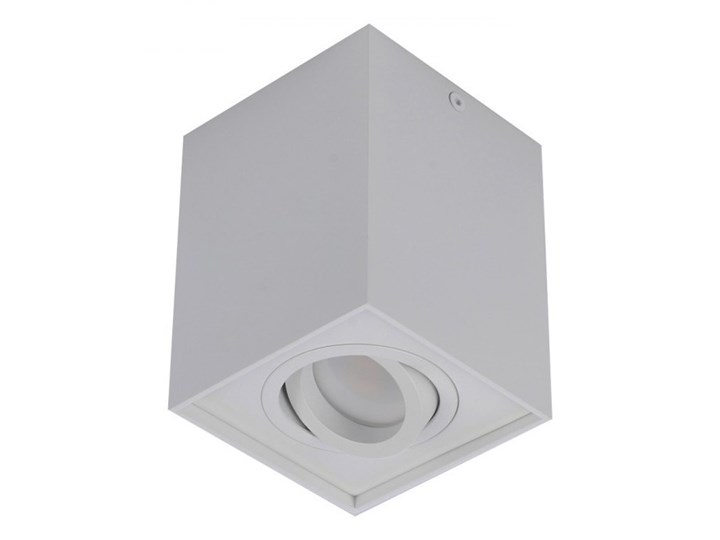 Lampa techniczna Eloy 1 BGR Kategoria Oprawy oświetleniowe