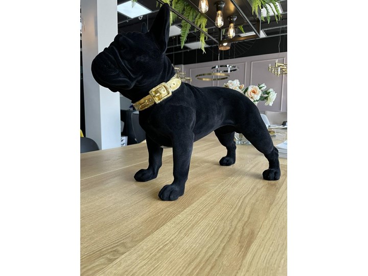 RICHMOND dekoracja DOG SPIKE czarny Zwierzęta Kategoria Figury i rzeźby