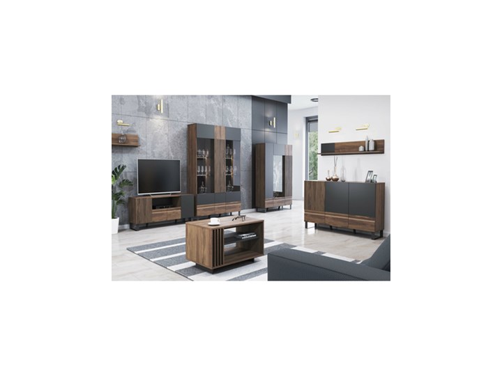 Salony Agata Witryna BOSTON 3D niska Płyta MDF Płyta meblowa Metal Szkło Płyta laminowana Drewno Styl Industrialny