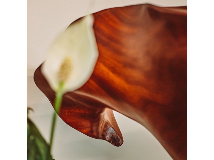 Rzeźba THE LILY FLOWER Kategoria Figury i rzeźby Kolor Czarny