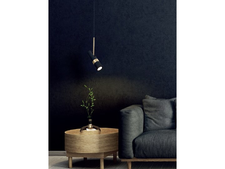 Lampa wisząca PUMA 1 Funkcje Brak dodatkowych funkcji Kategoria Lampy wiszące