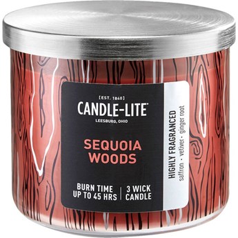 Candle-lite Everyday duża świeca zapachowa w szkle 3 knoty 14 oz 396 g - Sequoia Woods