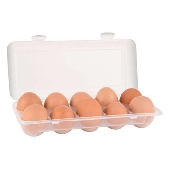 Pojemnik, organizer, pudełko na jajka, jaja, do lodówki, chłodziarki, 10 sztuk, jajek kod: O-122962