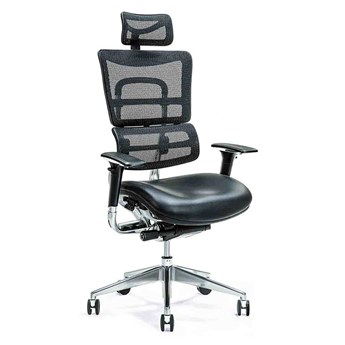 Ergonomiczny fotel biurowy Ergo 800, mesh, skóra, kolor czarny