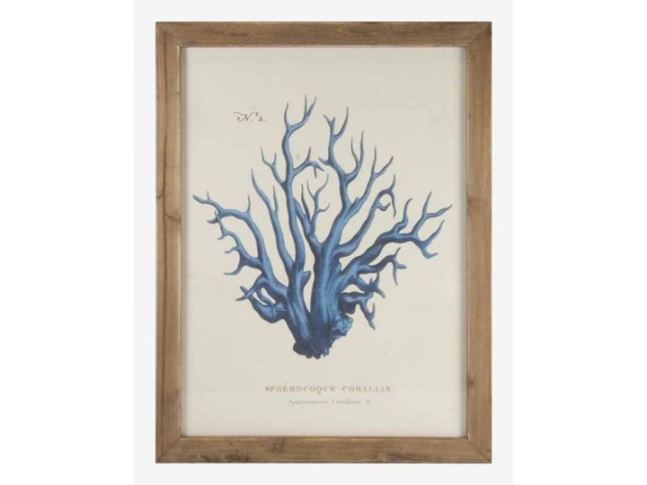 OBRAZ KORALOWIEC W DREWNIANEJ RAMIE ATLANTYDA 40x2,3x53cm Wysokość 75 cm Wysokość 80 cm Kolor Czarny Szerokość 75 cm Drewno Płyta MDF Głębokość 50 cm Szerokość 80 cm Głębokość 47 cm Kategoria Szafki stojące