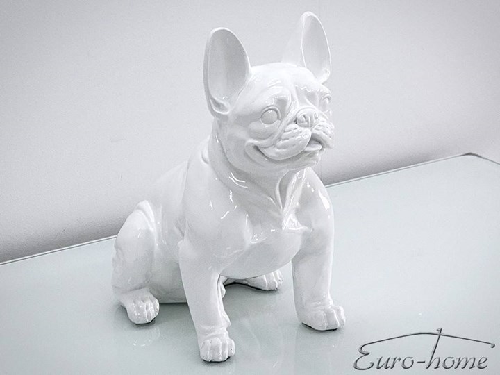 Biała figura buldog francuski 37x40x22 cm A258 Kolor Biały