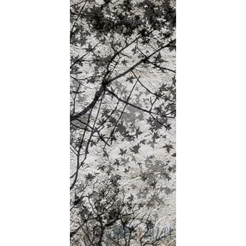 Fototapeta na drzwi Imitacja drzewa na tynku 3128VET/SKT