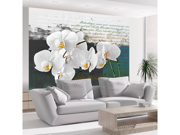 Fototapeta - Orchidea - inspiracja poety Fototapety do sypialni Kolor Biały Wzór Natura