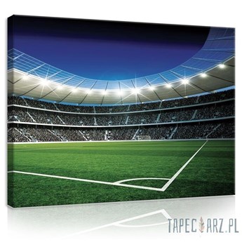 Obraz Stadion piłki nożnej PP20105