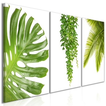Obraz - Piękne palmy (3-częściowy)