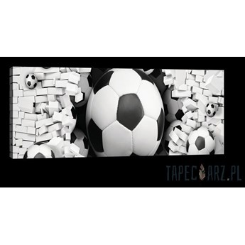 Obraz Piłki nożne w ceglanej ścianie 3D PP20107O3