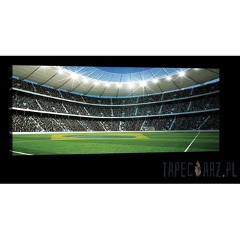 Obraz Stadion piłki nożnej PP20101O3