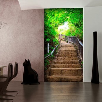 Fototapeta na drzwi - Tapeta na drzwi - Schody z natury
