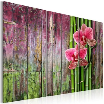 Obraz - Kwiat i bambus