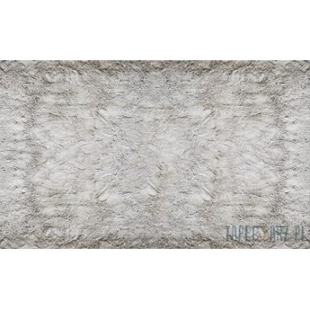 Fototapeta Tynk 2700