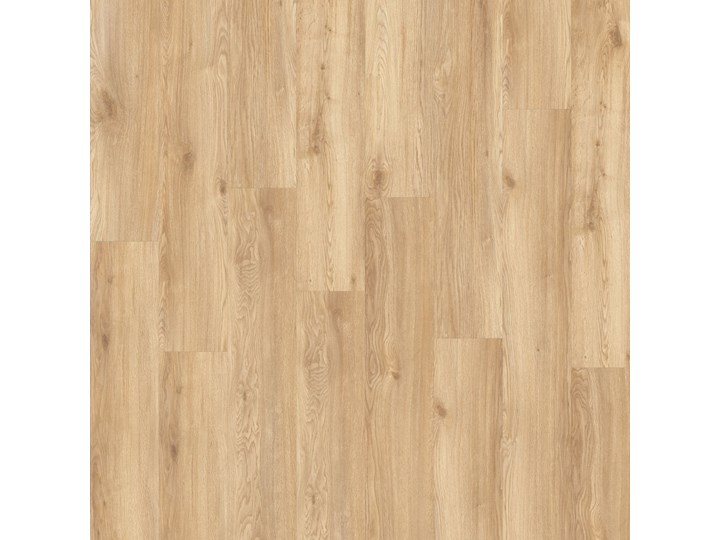 Ultimo Chapman Oak 24245 Click Kategoria Podłogi winylowe Kolor Beżowy