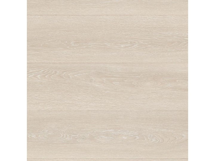 Dąb Nizinny Beżowy Jasny Mj3554 Majestic