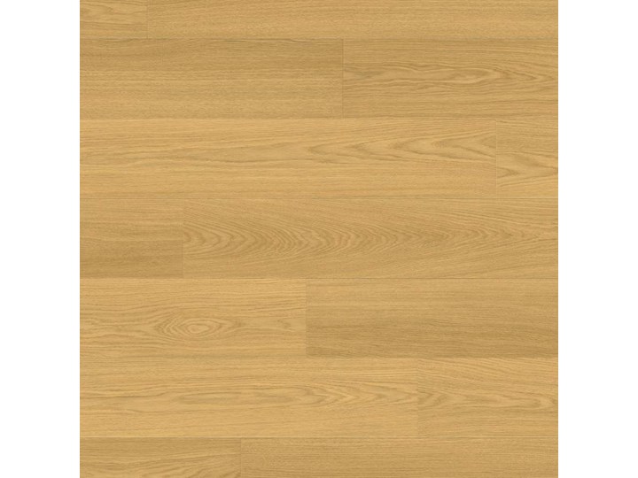 Dąb Naturalny Lakierowany Sig4749 Signature Kategoria Panele podłogowe Kolor Beżowy