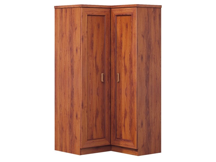 SELSEY Szafa narożna Tymbaroth 110 x 95 cm Tworzywo sztuczne Metal Płyta laminowana Drewno Wysokość 190 cm Płyta MDF Typ Narożne