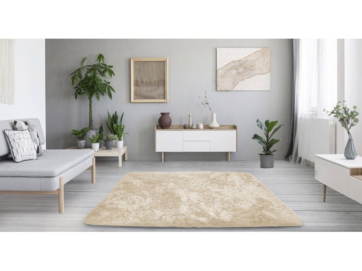 Dywan Shaggy Strado 100x150 CreamBeige (Beżowy) Dywany 100x150 cm Kategoria Dywany