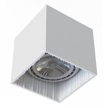 Lampa sufitowa punktowa spot GROOVE I 10W GU10 ES111 75W | biały