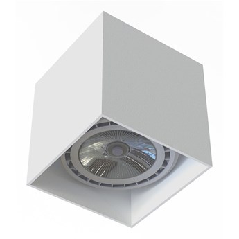 Lampa sufitowa punktowa spot COBBLE I 10W GU10 ES111 75W | biały