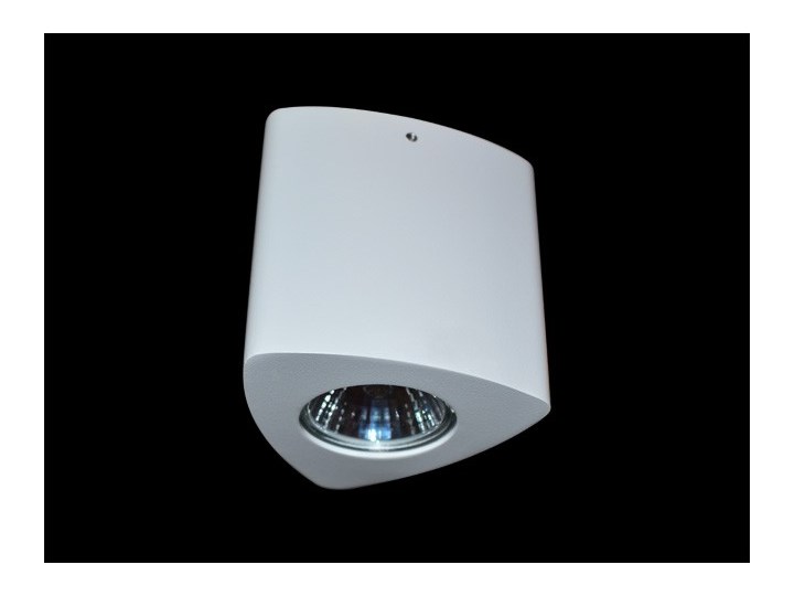 Lampa techniczna Dario Oprawa stropowa Oprawa led Kategoria Oprawy oświetleniowe Nieregularne Kolor Biały