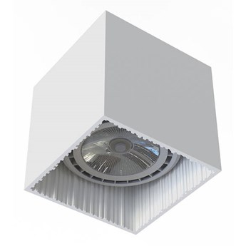Lampa sufitowa punktowa spot GROOVE I 10W GU10 ES111 75W | biały