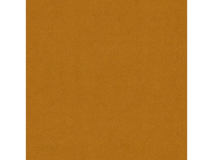 Sofa 2-osobowa Joleen, Golden Velvet Funkcje Bez dodatkowych funkcji Głębokość 88 cm Stała konstrukcja Wielkość Dwuosobowa
