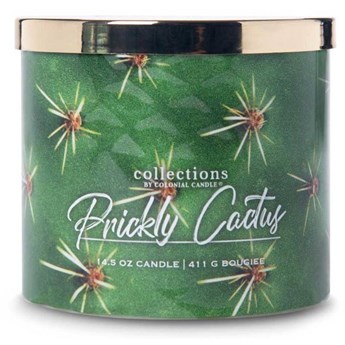 Colonial Candle Desert Collection sojowa świeca zapachowa w szkle 3 knoty 14.5 oz 411 g - Prickly Cactus