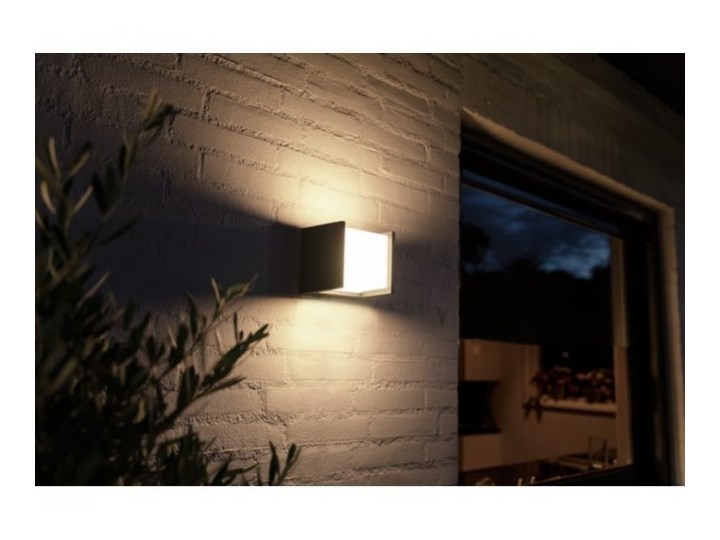 Lampa led Philips Hue FuzoWhite EU wall lantern black 1x Kinkiet ogrodowy Kolor Biały