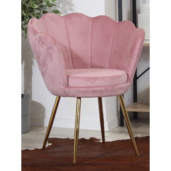 Welurowy fotel muszelka SHELL w kolorze pudrowy róż na złotych nogach