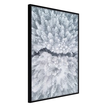 Plakat w ramie Artgeist Winter Forest From a Bird's Eye View, 20x30 cm