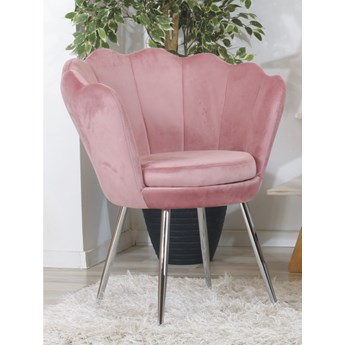 Welurowy fotel muszelka SHELL w kolorze pudrowy róż na chromowanych nogach