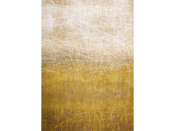 Żółty dywan nowoczesny New York Fall 280x360 cm Nakładki schodowe 140x200 cm Prostokątny 200x280 cm 230x330 cm Kolor Biały Dywany Poliester 170x240 cm 80x150 cm Bawełna Kolor Beżowy
