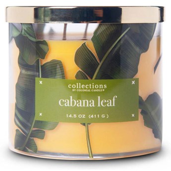 Colonial Candle Tropical Collection sojowa świeca zapachowa w szkle 3 knoty 14.5 oz 411 g - Cabana Leaf