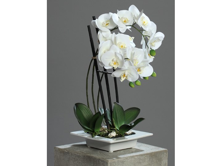 Storczyk w Ceramicznej Misie 46 cm Kategoria Sztuczne kwiaty