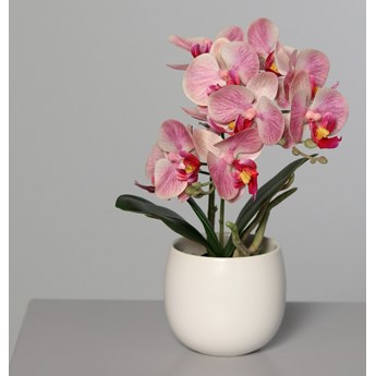 Sztuczna Orchidea w Doniczce 22 cm - Kolory