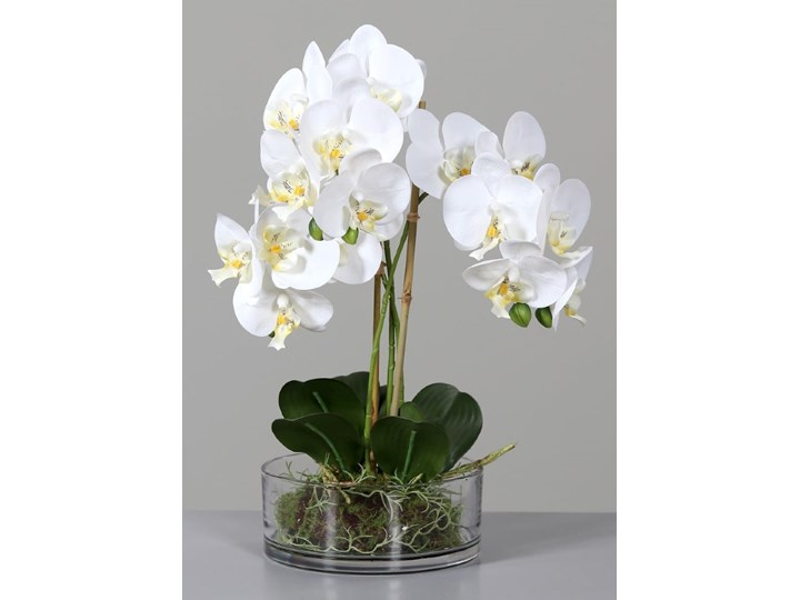 Sztuczna Orchidea w Szkle 44 cm