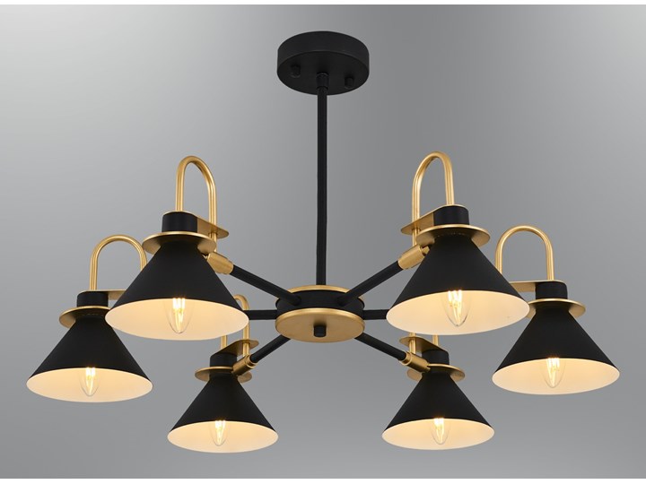 Industrialna lampa wisząca  5803-6A ozcan salon sypialnia jadalnia Metal Styl Nowoczesny Funkcje Lampa LED