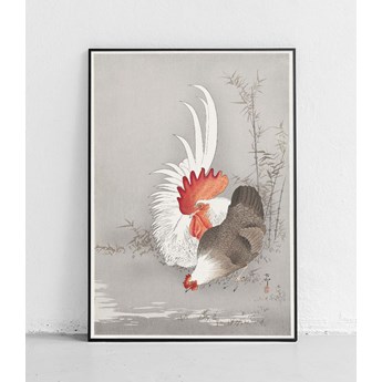 Kogut i kurczak - plakat