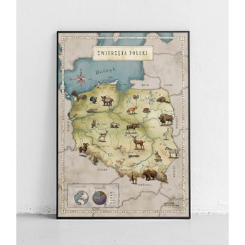 Mapa Polski dla dzieci - dla starszaków plakat