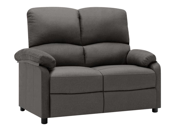 vidaXL 2-osobowa sofa rozkładana, ciemnoszara, tapicerowana tkaniną Stała konstrukcja Wielkość Dwuosobowa