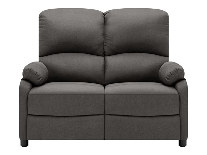vidaXL 2-osobowa sofa rozkładana, ciemnoszara, tapicerowana tkaniną Stała konstrukcja Typ Gładkie