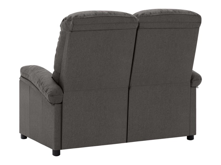 vidaXL 2-osobowa sofa rozkładana, ciemnoszara, tapicerowana tkaniną Pomieszczenie Salon Stała konstrukcja Funkcje Z funkcją relaks