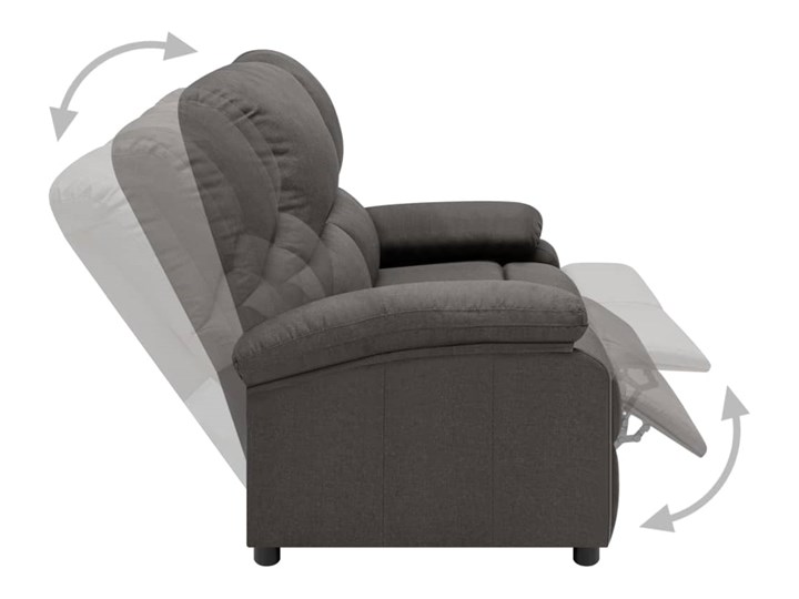 vidaXL 2-osobowa sofa rozkładana, ciemnoszara, tapicerowana tkaniną Stała konstrukcja Nóżki Bez nóżek