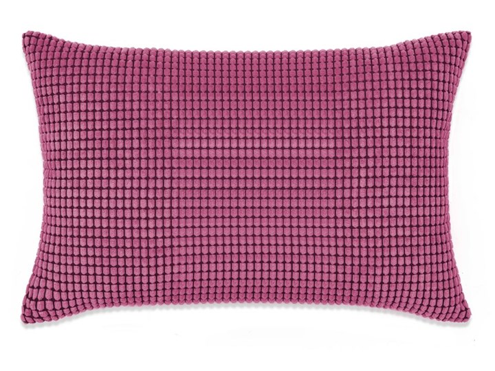 vidaXL Zestaw 2 poduszek z weluru w kolorze różowym, 40 x 60 cm Poszewka dekoracyjna Prostokątne Dzianina 40x60 cm Poliester Bawełna Kategoria Poduszki i poszewki dekoracyjne Styl Nowoczesny