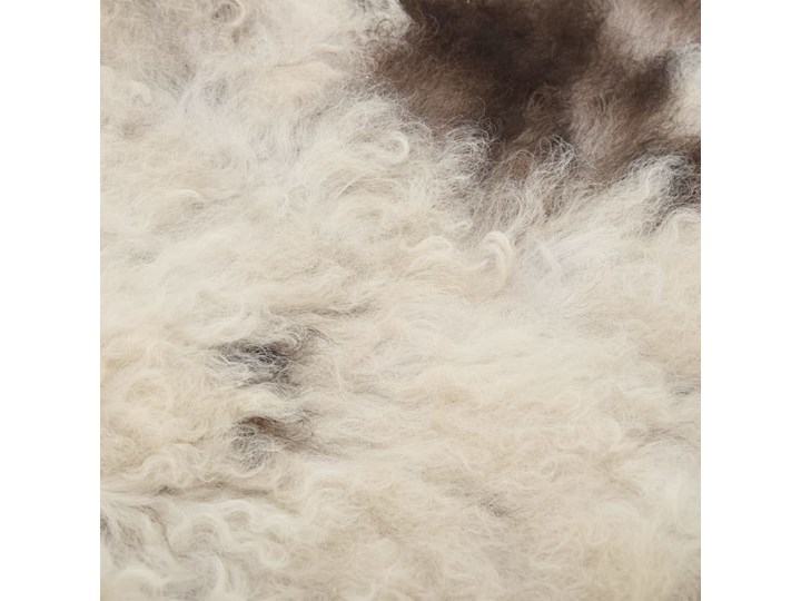 vidaXL Skóra owcza, kolorowa, 70x100 cm Skóry Nieregularny Dywany Dywaniki Kolor Czarny