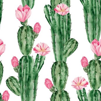 Kaktus z różowymi kwiatami Okleina samoprzylepna na ścianę Kaktus z różowymi kwiatami