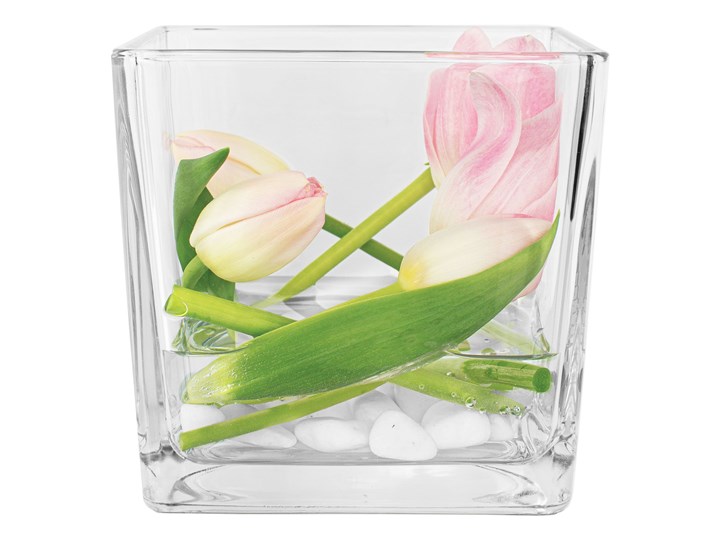 Trend Glass Pojemnik dekoracyjny, wazon Cassia Szkło Kategoria Wazony Kolor Przezroczysty